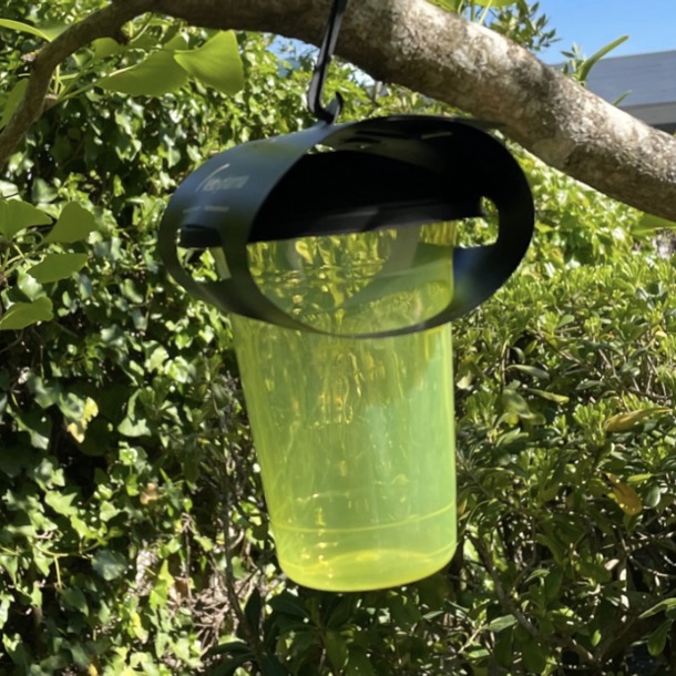 DISTRIBUTION DE PIÈGES À FRELONS ASIATIQUES